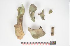 Foto von Bronzesitula (NHMW-PRAE-024489)